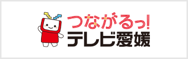 テレビ愛媛