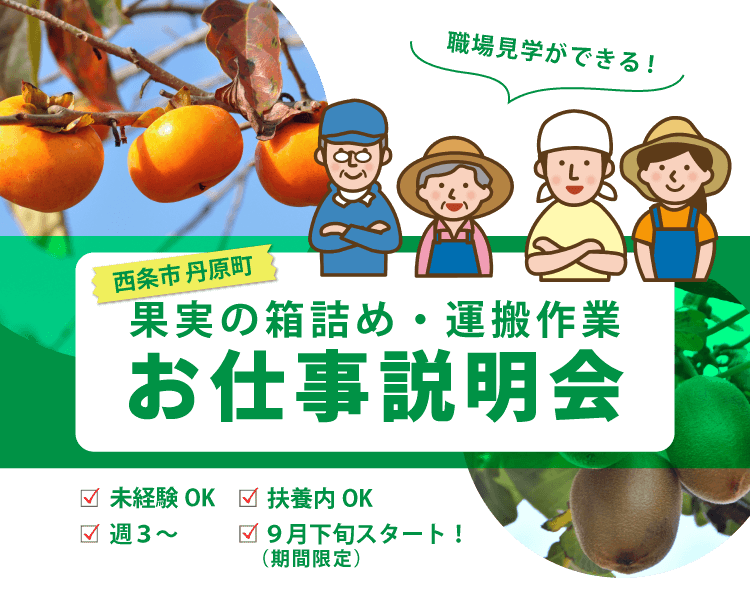 果実の箱詰め・運搬作業お仕事説明