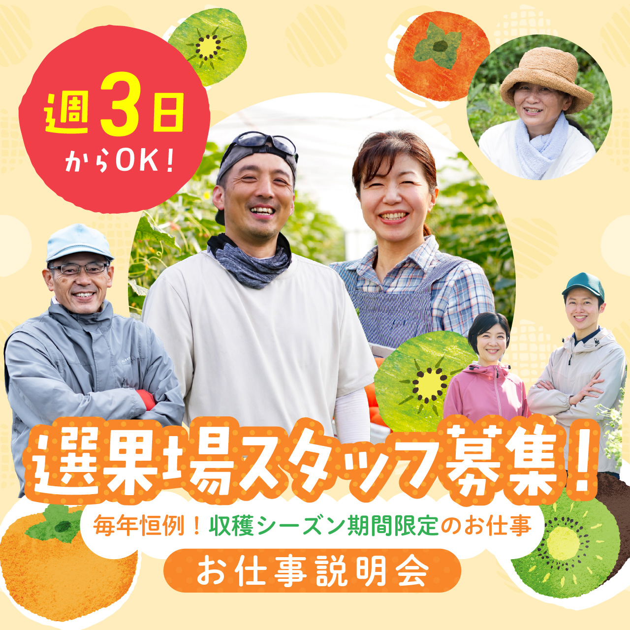 【期間限定・週3日からOK】毎年恒例の選果場スタッフ募集！